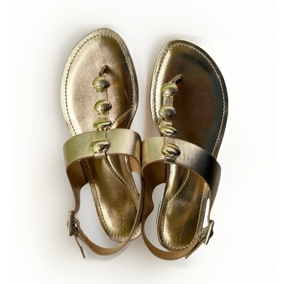 Talbots Women’s Size 8 Gold T-Strap Flip Flop Sandals Shell Summer Beach Shoes - Picture 1 of 7
